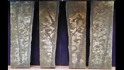 183_TreeLegs